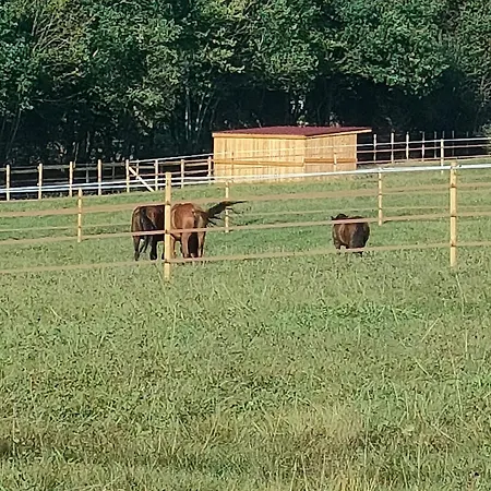 Tatil Evi Les Du Bulhion